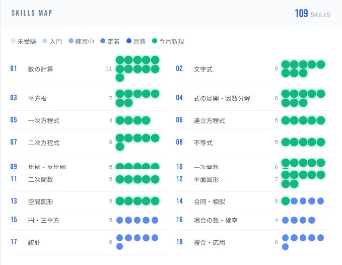 Monthly ReportのSKILLS MAP(サンプル)